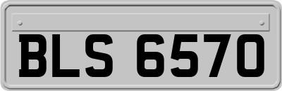 BLS6570