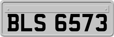 BLS6573
