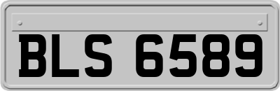 BLS6589