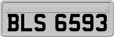 BLS6593