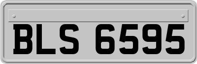 BLS6595