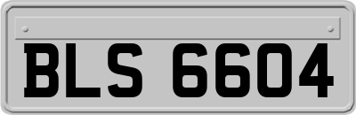 BLS6604