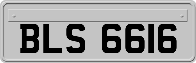 BLS6616