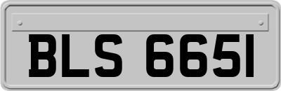 BLS6651