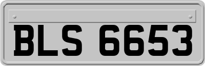 BLS6653