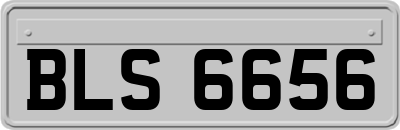 BLS6656