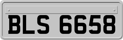 BLS6658