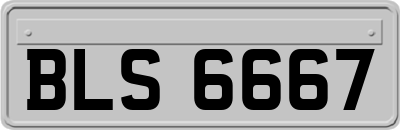 BLS6667