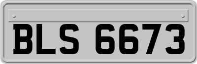 BLS6673