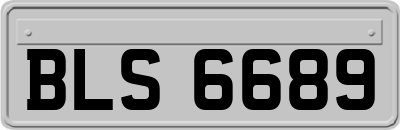 BLS6689