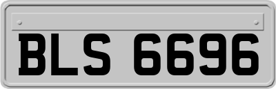BLS6696