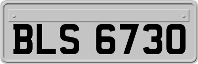 BLS6730