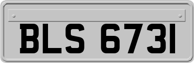 BLS6731