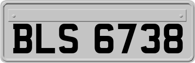 BLS6738