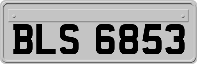 BLS6853