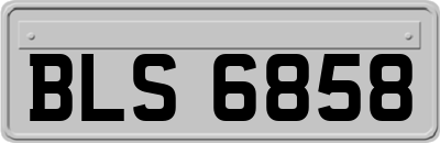 BLS6858
