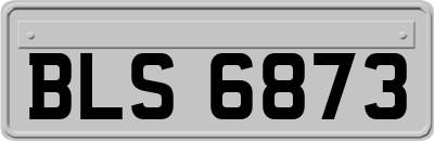 BLS6873