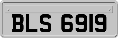 BLS6919