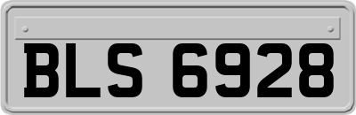 BLS6928