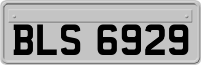 BLS6929