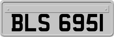 BLS6951