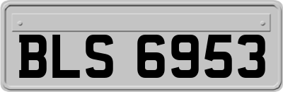 BLS6953