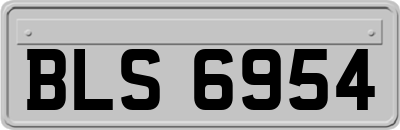 BLS6954
