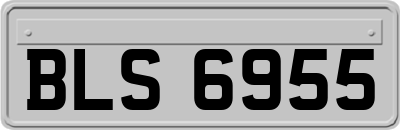 BLS6955