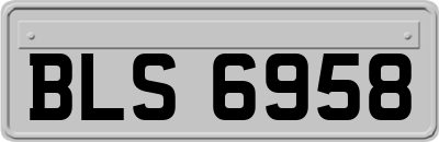 BLS6958