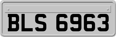 BLS6963