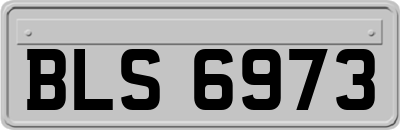 BLS6973