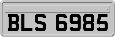 BLS6985