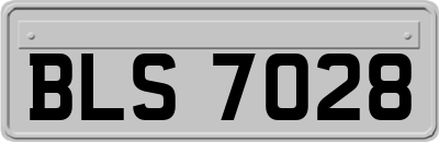 BLS7028