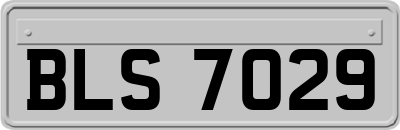 BLS7029
