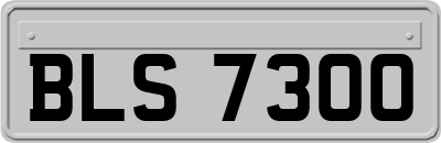 BLS7300