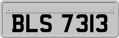 BLS7313