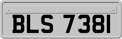BLS7381
