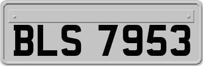 BLS7953