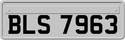 BLS7963