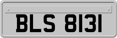 BLS8131