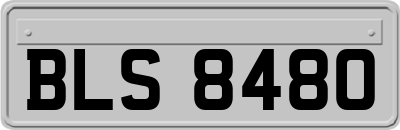 BLS8480