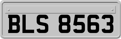 BLS8563