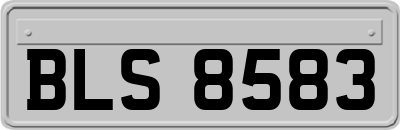 BLS8583