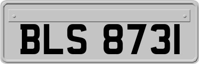 BLS8731