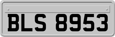 BLS8953