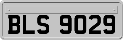 BLS9029