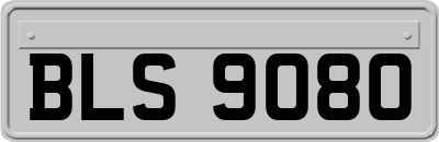 BLS9080