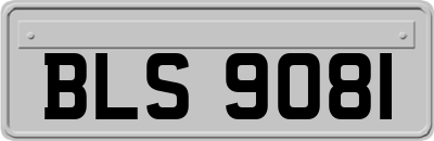 BLS9081