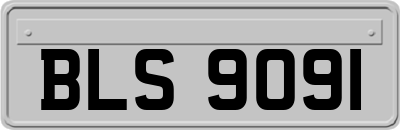BLS9091