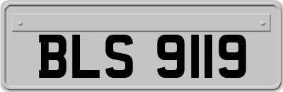 BLS9119